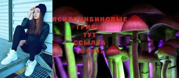 PSILOCYBIN Дмитриев