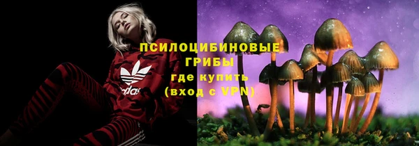 бошки Дмитров