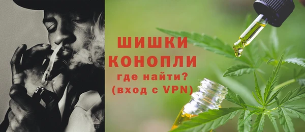 PSILOCYBIN Дмитриев