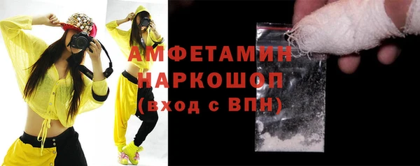 амф Верхний Тагил
