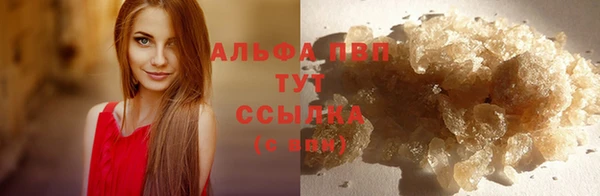 молекула духа Дмитровск
