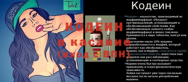 PSILOCYBIN Дмитриев