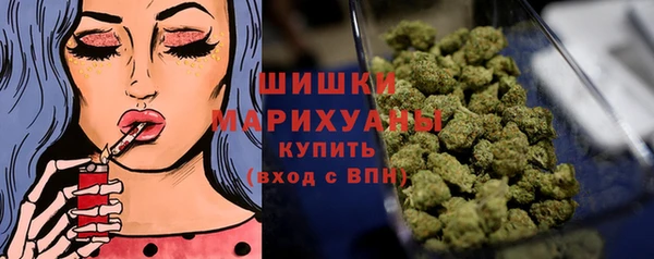 PSILOCYBIN Дмитриев