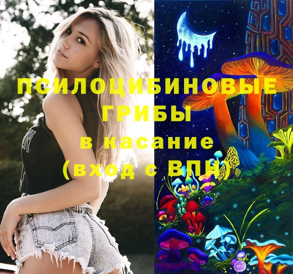 молекула духа Дмитровск