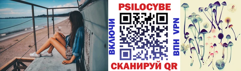 цены   Ермолино  Галлюциногенные грибы Cubensis 